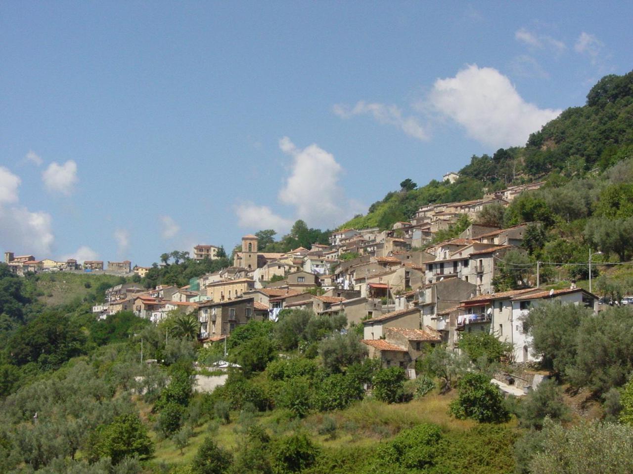B&B Calabria Scigliano Экстерьер фото