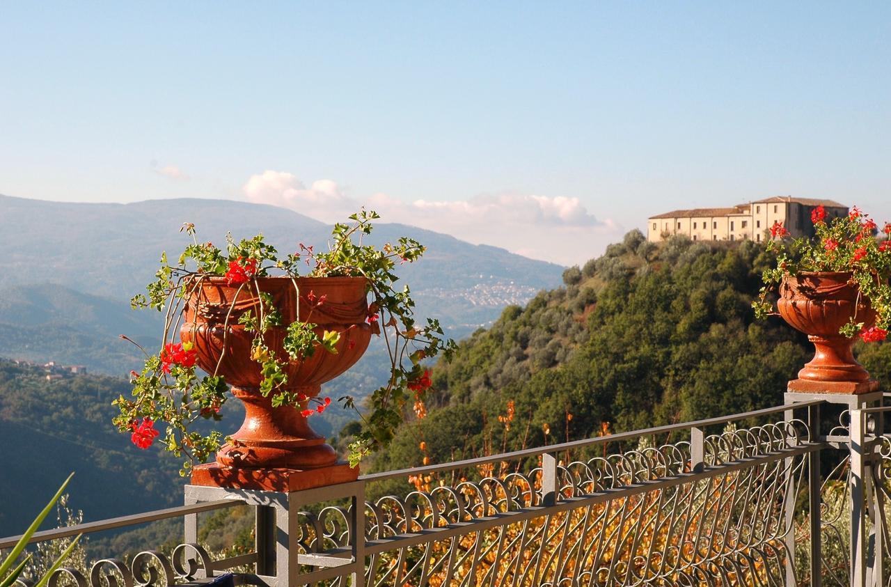 B&B Calabria Scigliano Экстерьер фото