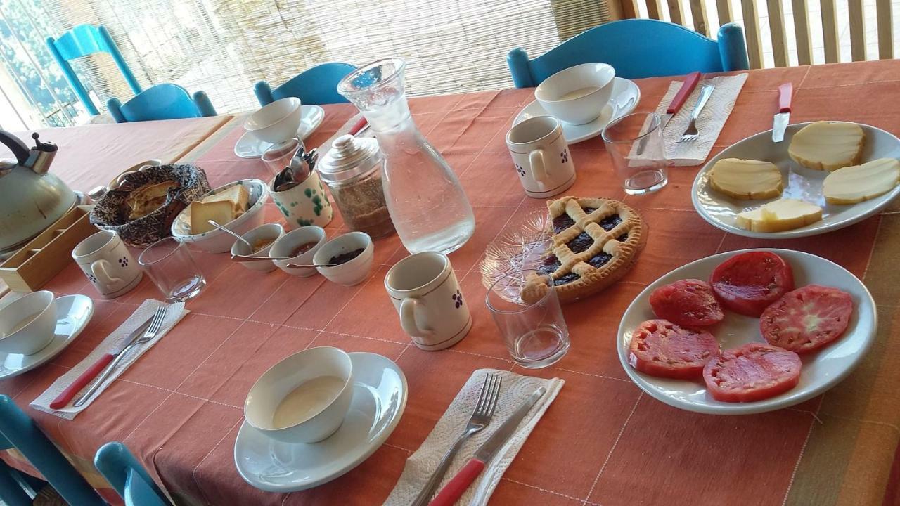 B&B Calabria Scigliano Экстерьер фото