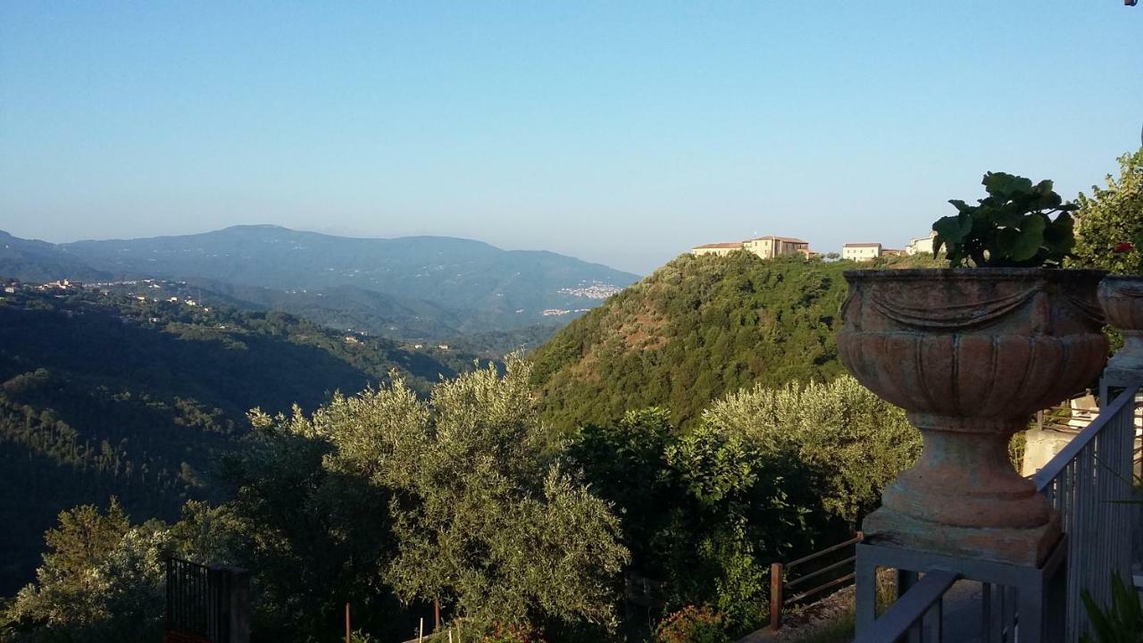 B&B Calabria Scigliano Экстерьер фото